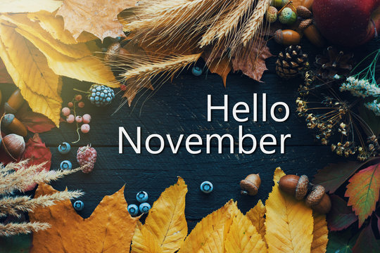 Hello november. frame of autumn decor Poster card  filter  grunge image	