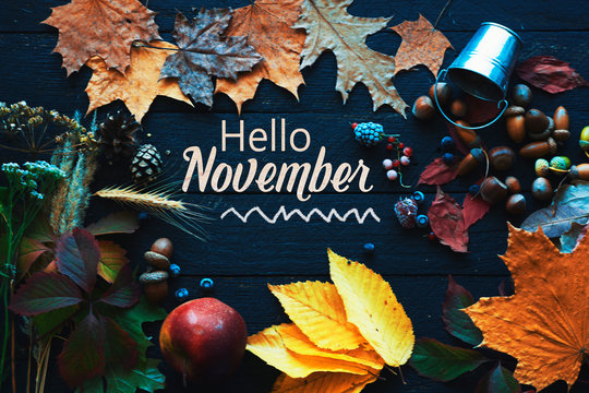 Hello november. frame of autumn decor Poster card  filter  grunge image	