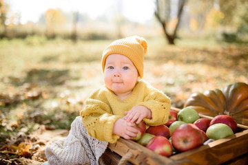 happy baby girl with a basket with apples outdoor in the autumn park