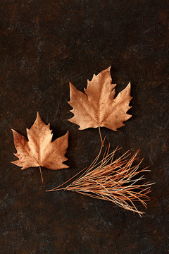  TREE SHEETS ON DARK BACKGROUND WITH TEXTURE. AUTUMN COLORS © CMM.Photo