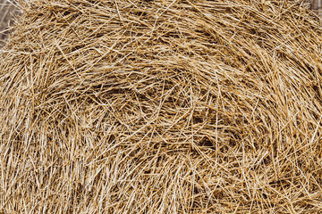 Dry yellow straw grass hay background texture after havest, Straw bales texture