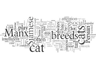 Domestic Cat Breeds