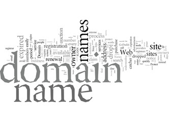 Domain Names Protect Your s From Drop Catchers