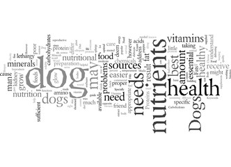 Dogs Need Good Food Too Your Guide To Your Dog s Diet