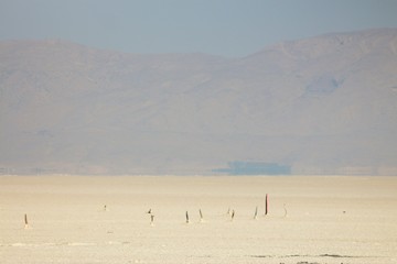 Maharloo Lake (Pink Lake), Iran