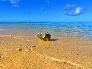 exploring magical island of tahiti