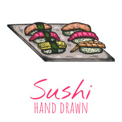 Nigiri sushi plate hand drawn illustration, isolated vector design.