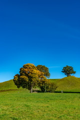 Herbstidylle in Oberbayern