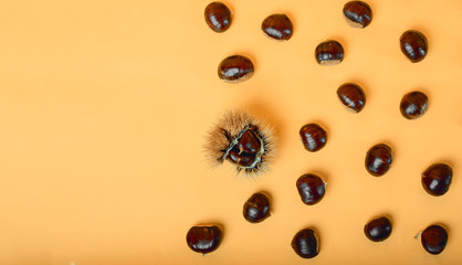 Stylish composition of chestnut on yellow background
