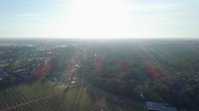 Flight over vineyard and countryside with lens flare in Moama, NSW, Australia