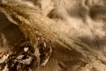 Still life of a bouquet of dried flowers in a glass bottle on a white background. Place for text or advertising