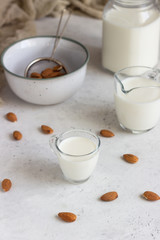 Organic almond milk in glass jugs with ingredients on a light grey background. Healthy and vegan eating. Alternative type of milk.