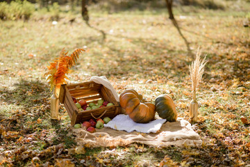 Autumn decor in the park. Pumpkins and red apples lying in wooden box on autumn background. Autumn time. Thanksgiving Day.