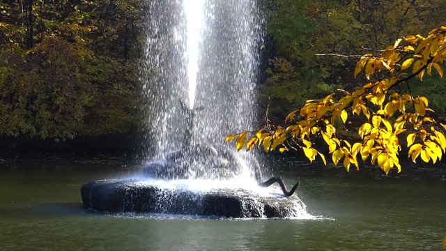 Fountain in the lake in Sofievsky park, Uman, Ukraine