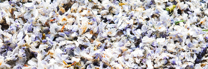 Petal dry flower leaves