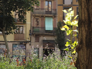 Naturaleza urbana con fachada de fondo
