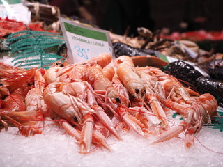 Camarones expuestos en el mercado. La Boqueria, Barcelona