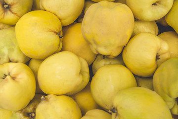 Quince