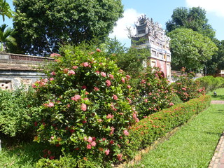 Fototapeta premium Vietnam