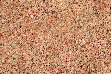Sawdust or wood dust texture background. Wood sawdust background closeup. Sawdust floor texture. Top view. Saw dust texture, close-up background of brown sawdust.