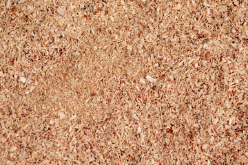 Sawdust or wood dust texture background. Wood sawdust background closeup. Sawdust floor texture. Top view. Saw dust texture, close-up background of brown sawdust.