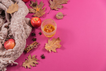 Whiskey, brandy or liquor, spices and autumn decorations on dark background