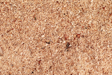 Sawdust or wood dust texture background. Wood sawdust background closeup. Sawdust floor texture. Top view. Saw dust texture, close-up background of brown sawdust.