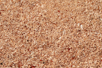 Sawdust or wood dust texture background. Wood sawdust background closeup. Sawdust floor texture. Top view. Saw dust texture, close-up background of brown sawdust.