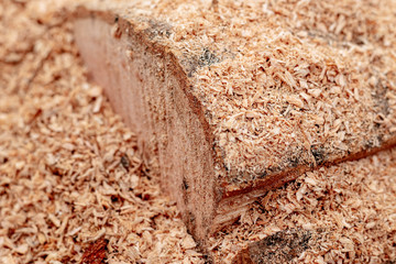 Sawdust or wood dust texture background. Wood sawdust background closeup. Sawdust floor texture. Top view. Saw dust texture, close-up background of brown sawdust.