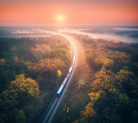 Train in beautiful forest in fog at sunrise in autumn. Aerial view of commuter train in fall....