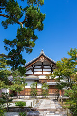 Fototapeta premium Traditional building and garden with blue sky in Kyoto Japan