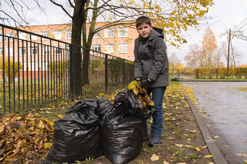 A boy in a jacket and gloves collects fallen leaves in a black plastic bag in a lawn in the city close up
