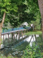 Rural landscape in summer