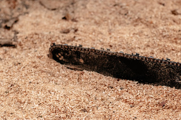 Closeup view of a chainsaw bar and cutting chain. Dirty blade of a chainsaw. Blade of a chainsaw in the garden, copy space