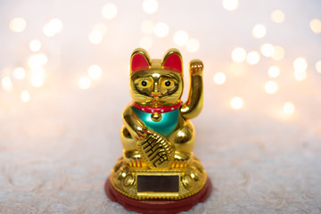 Gato da prosperidade