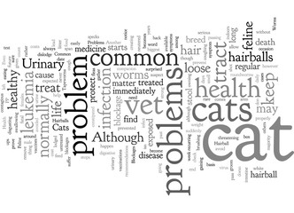 Common Health Problems Of Cats