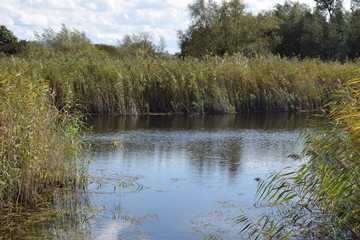 Jesienny krajobraz z wodą