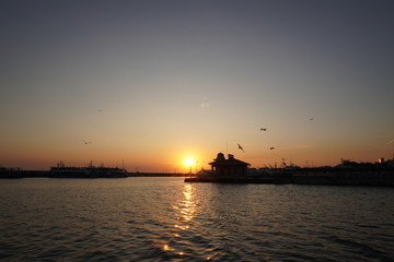 Fototapeta na wymiar sunset ships and seagulls flying on the beach