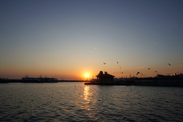 Fototapeta premium sunset ships and seagulls flying on the beach