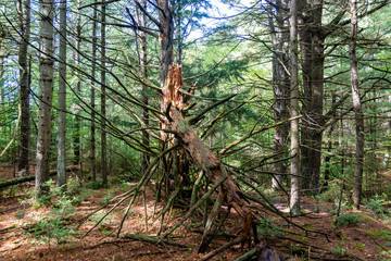 Laurentians parks and wildlife reserves