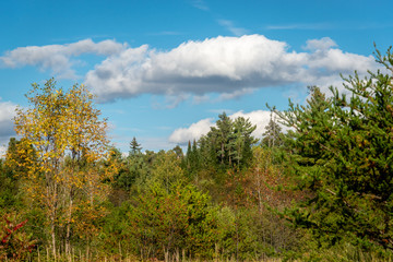 Laurentians parks and wildlife reserves