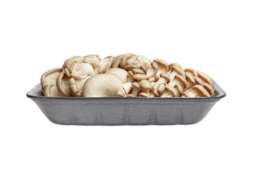 Oyster mushrooms in grey tray isolated on white background. Uncooked edible mushrooms