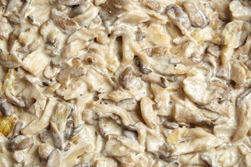 Oyster mushrooms cooked in sour cream sauce. Food texture background, top view