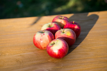Picnic concept. Apples red ripe fruits. Healthy nutrition concept. Fruit and vitamin. Red apples gathered as harvest. Fall apples harvest. Apple harvest concept. Ripe organic fruits backdrop