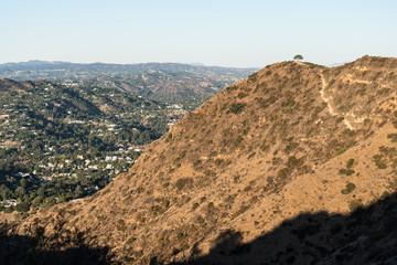 View of the Wisdom Tree Trail on Burbank Peak near Griffith Park in Los Angeles, California.