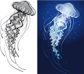 Hand drawn vector illustration of jellyfish © Viktoriia Protsak
