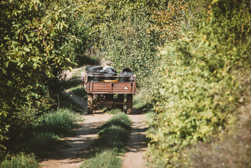 Man driving a tractor 