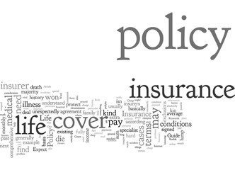 Obraz premium Cheap Life Insurance Policy