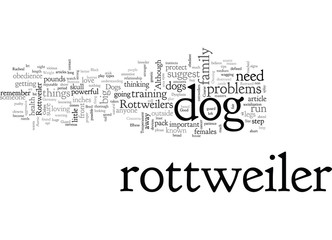 Characteristics Of The Rottweiler