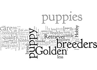 Characteristics Of Reputable Breeders